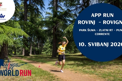 Wings for Life World Run 2026