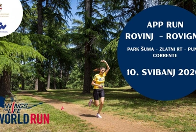 Wings for Life World Run 2026