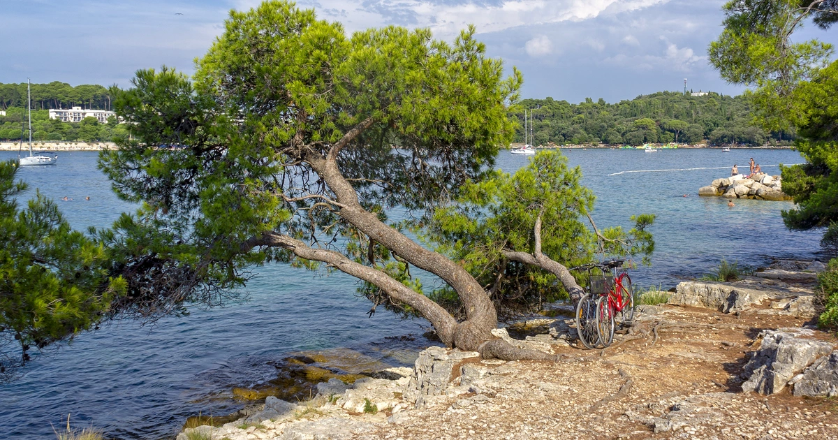 Punta Corrente (Zlatni rt) — vodič kroz šumski park Rovinja - Visit Rovinj