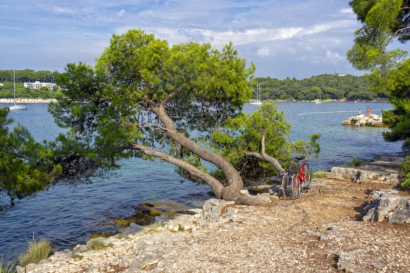 Punta Corrente (Zlatni Rt) — Rovinj's Forest Park Guide