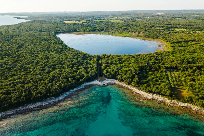 Palud vogelreservaat, Rovinj: vogels spotten en de rondelus