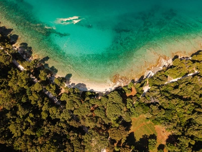 Abgeschiedene türkisfarbene Bucht im Waldpark