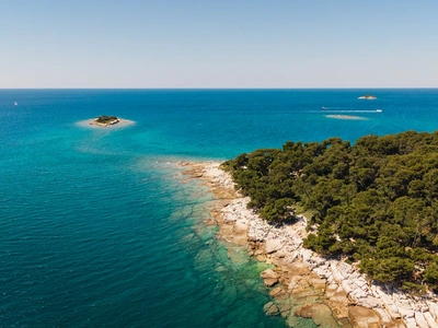 Manjši otoček ob z borovi obrobljeni obali