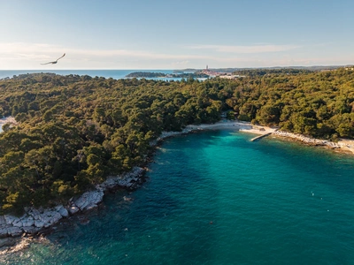 Uvala Škaraba s Rovinjem na obzoru