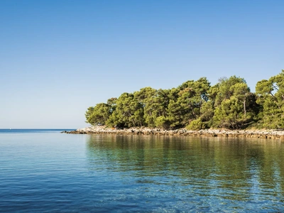 Wooded islet across calm water at Škaraba