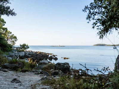 Rocky point with a lone pine at Škaraba