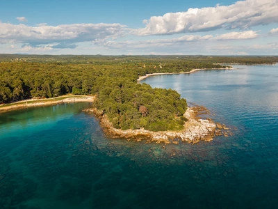 Pine cape between Cuvi bays