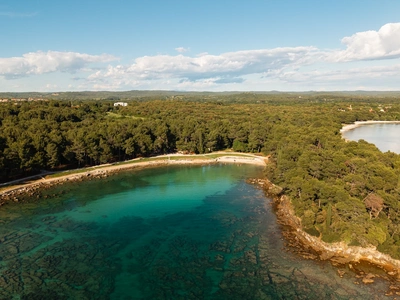 Curved Cuvi cove inside the pine grove