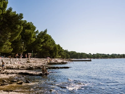 Pini protesi sul mare a Cuvi