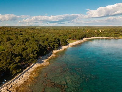 South coast looking along Cuvi