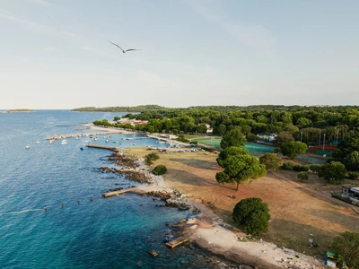 The pine-fringed coastline
