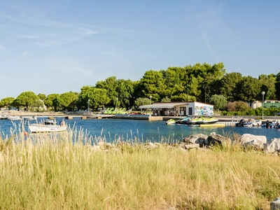 The boat harbour