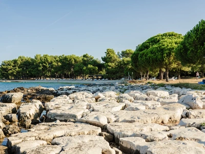 Rocky coast and clear water