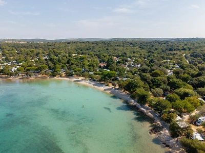 Riva bassa sotto i pini del campeggio