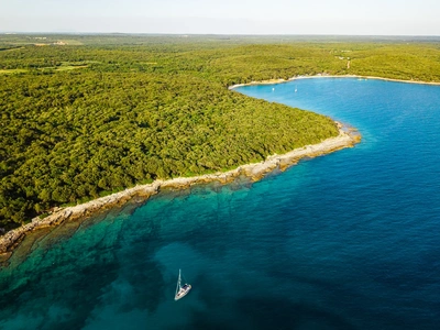 The wooded shore curving along the bay south of Rovinj.