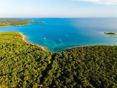 A quiet cove near Palud, sailboats at anchor and forest down to the sea.