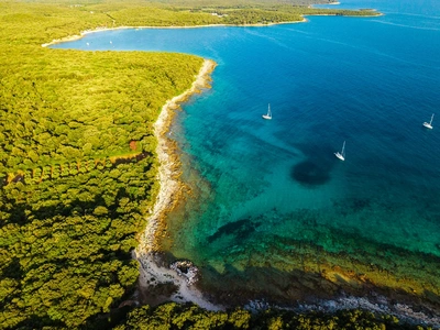 The forested Palud coastline and its clear turquoise shallows.