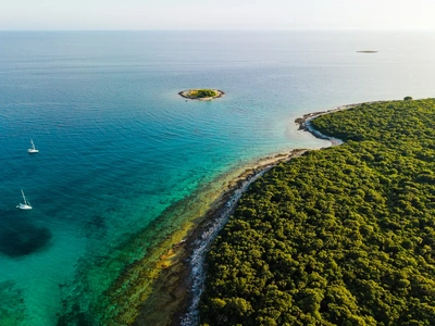 A wooded islet and sailboats off the Palud coast.