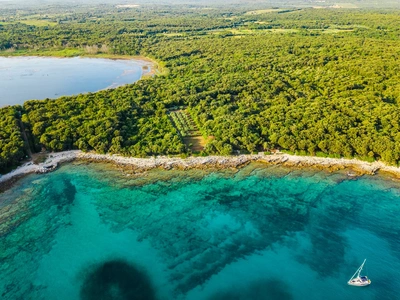 The Palud lagoon behind the rocky coast and pine forest.