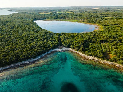 The Palud marsh — Istria's only ornithological reserve — and the wooded coast.