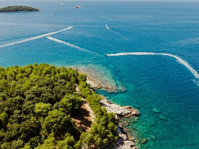 Bewaldete Küste und offenes Meer