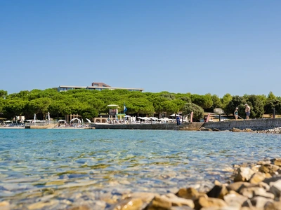 Blaue-Flagge-Strand im Pinienschatten