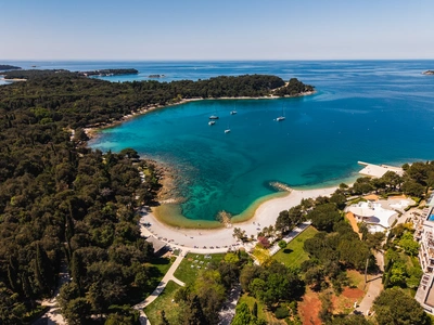 Aerial overview of Lone Bay
