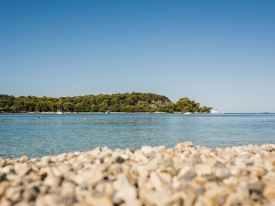 Clear water and the wooded headland