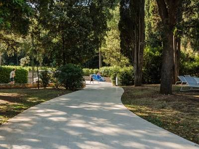 Forest-park path to the beach