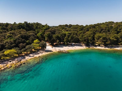 Small pebble cove tucked into the pine-covered shore