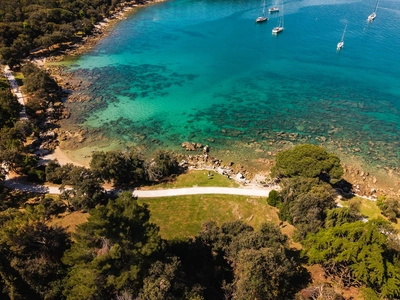 Rocky shore with footpaths through the pine grove