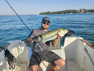 Bluefish from a Rovinj fishing charter, with the Old Town behind — Rovinj