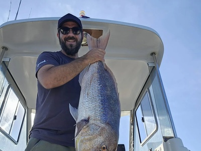 A prize dentex landed on a Rovinj boat fishing tour — Rovinj