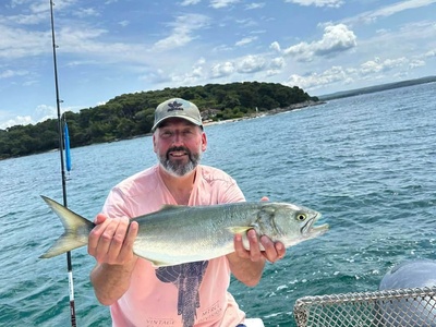 A solid bluefish on a sunny Rovinj fishing trip — Rovinj