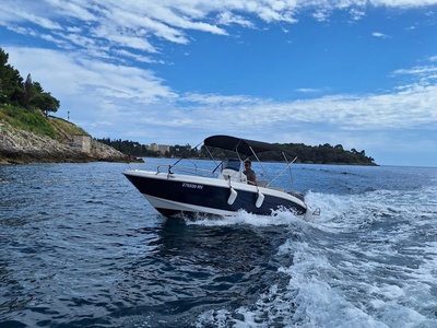 Privatni brod s rovinjskom siluetom u oblačnom danu — Rovinj