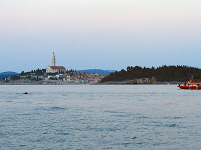 Brodica Nemo i dupin s rovinjskom siluetom u pozadini — Rovinj