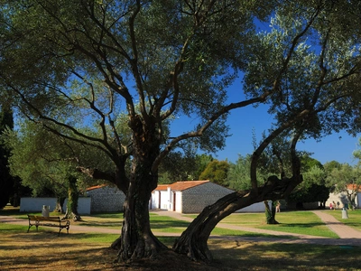 Maistra Select Villas Rubin Resort